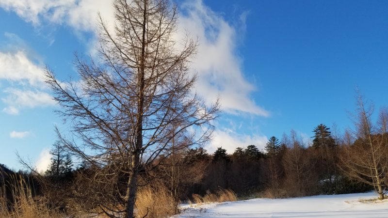 Let’s 氷上！効果的なスキルアップが出来る氷上走行会のすすめ